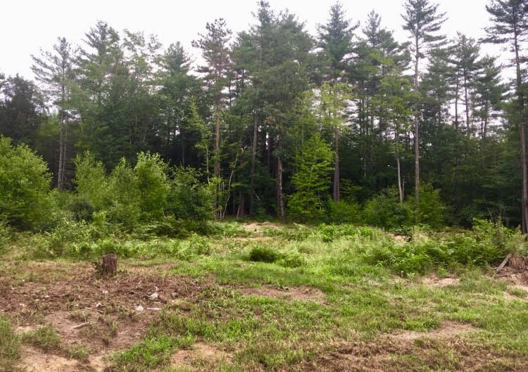 147 Intervale Road Canterbury, NH 03224 - Photo 23 of 23