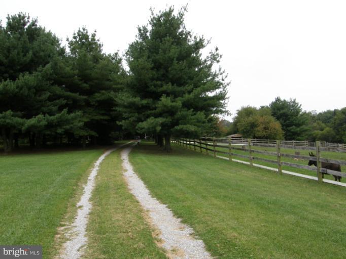 4329 Locust Grove Road Rohrersville, MD 21779 - Photo 12 of 21 Exterior (General)