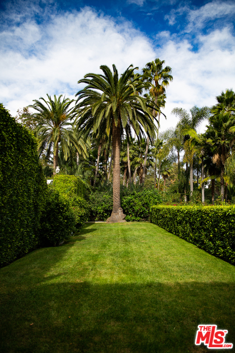609 East Channel Road Santa Monica, CA 90402 - Photo 20 of 31 a palm tree sitting in a yard with swimming pool