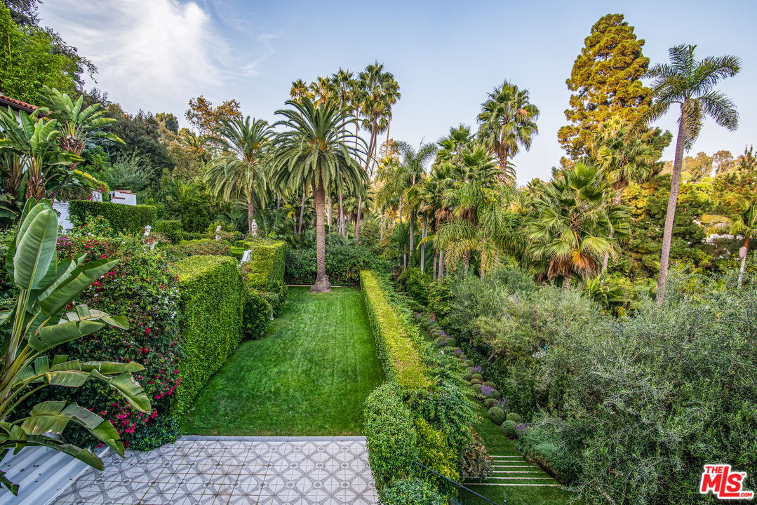609 East Channel Road Santa Monica, CA 90402 - Photo 28 of 31 a lush green forest with lots of trees