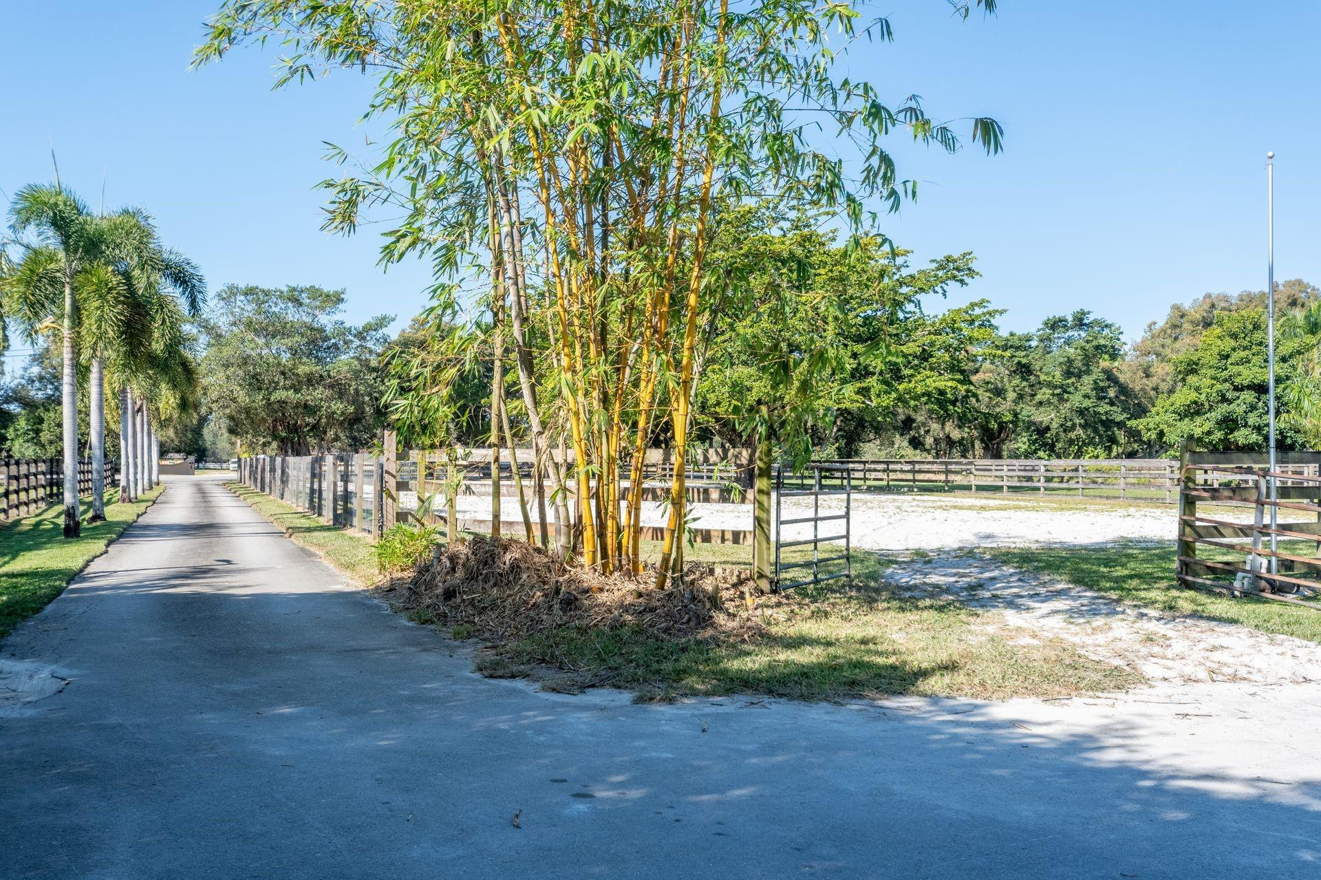 6410 Melaleuca Road Southwest Ranches, FL 33330 - Photo 30 of 47 Photo 30