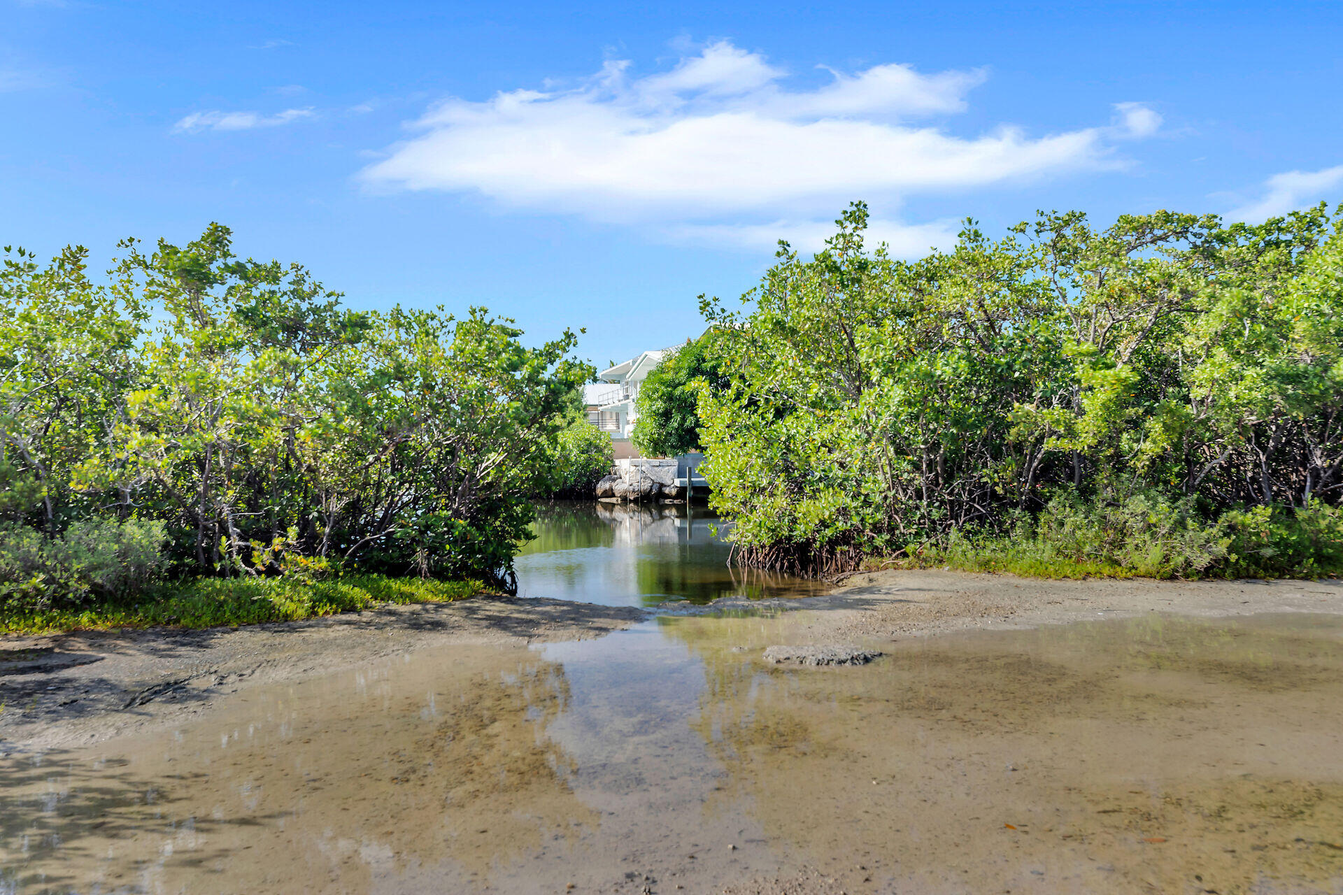 6 Fishermans Trail Key Largo, FL 33037 - Photo 40 of 41 a view of a yard with large trees