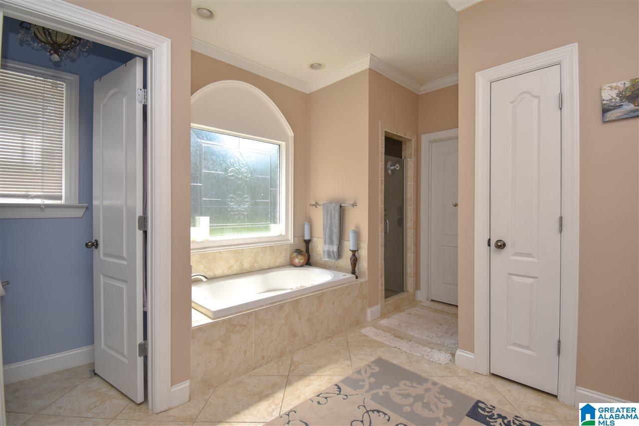 242 Grande View Circle Alabaster, AL 35114 - Photo 29 of 49