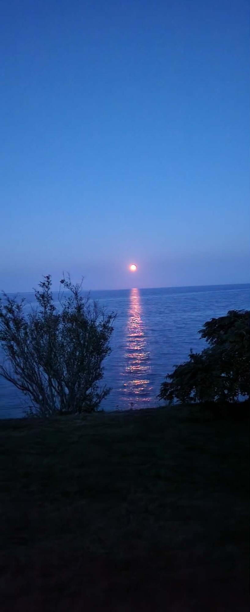 2223 Partridge Point Road Alpena, MI 49707 - Photo 31 of 31 moon rise