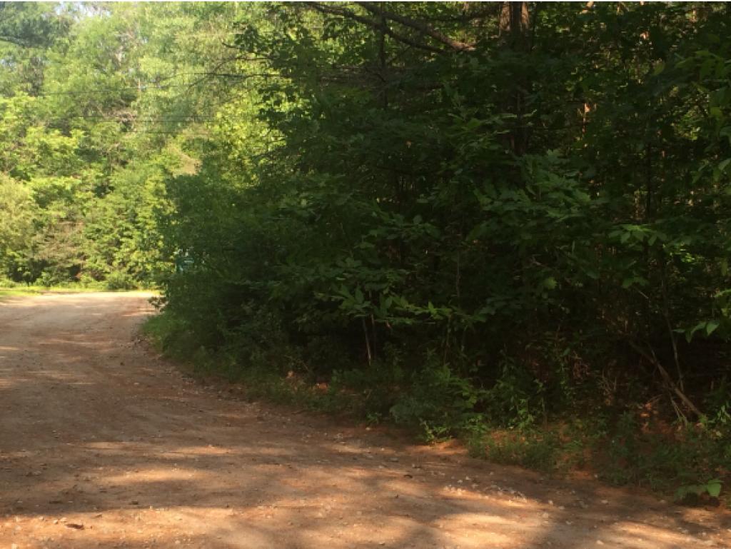 0 Canoe Run Road Campton, NH 03223 - Photo 2 of 9 Gallery Image 2