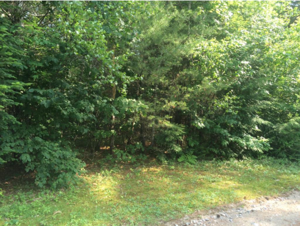 0 Canoe Run Road Campton, NH 03223 - Photo 6 of 9 Gallery Image 6
