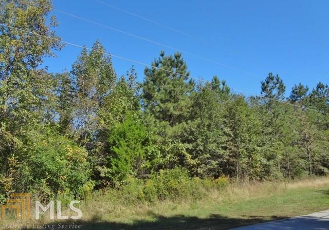 0 Reeves Road Jackson, GA 30233 - Photo 1 of 1