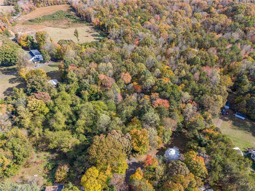 2080 Pannel Road Reidsville, NC 27320 - Photo 49 of 50