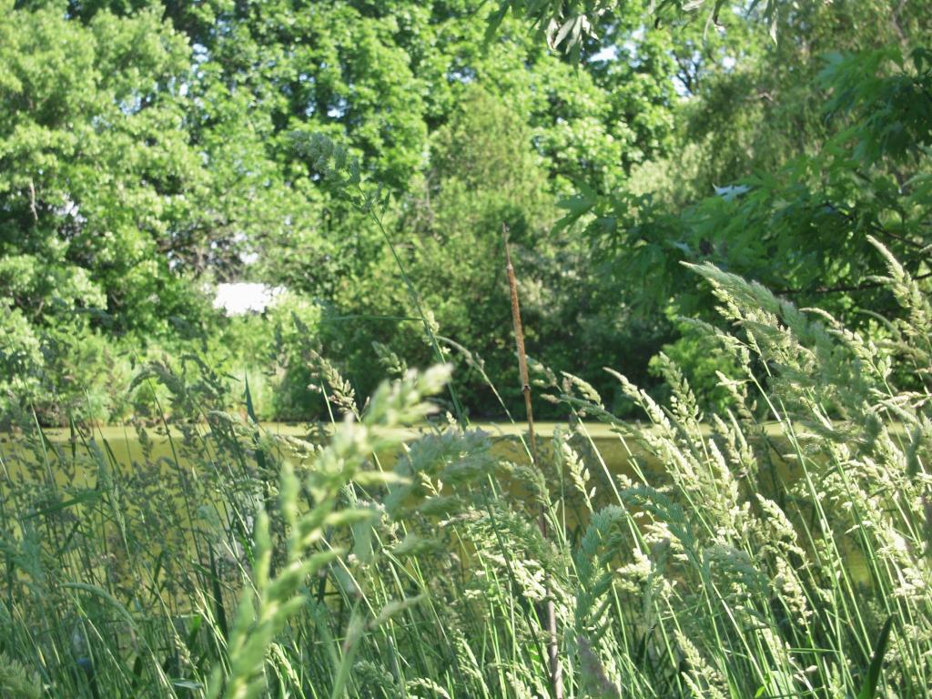 333 Old Stonehouse Road Addison, VT 05491 - Photo 22 of 26