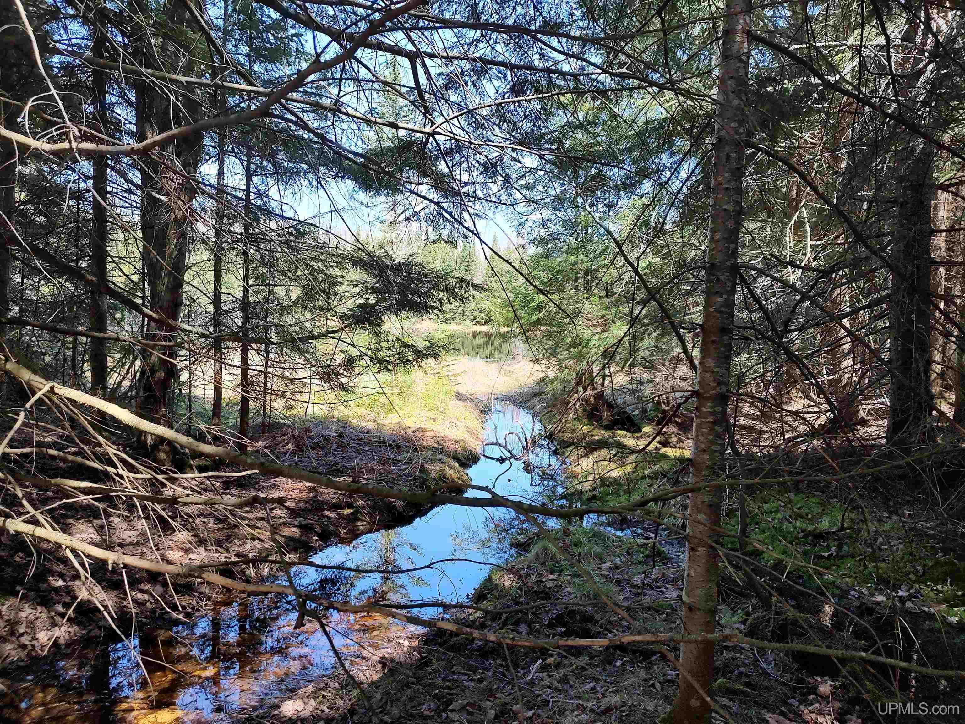 Tbd North Indian Road Lanse, MI 49946 - Photo 22 of 59 Gallery Image 22