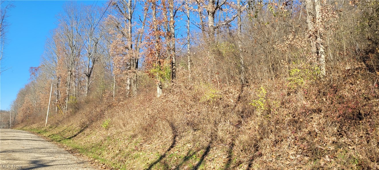 Johnson Run Road Newcomerstown, OH 43832 - Photo 31 of 35 Gallery Image 31