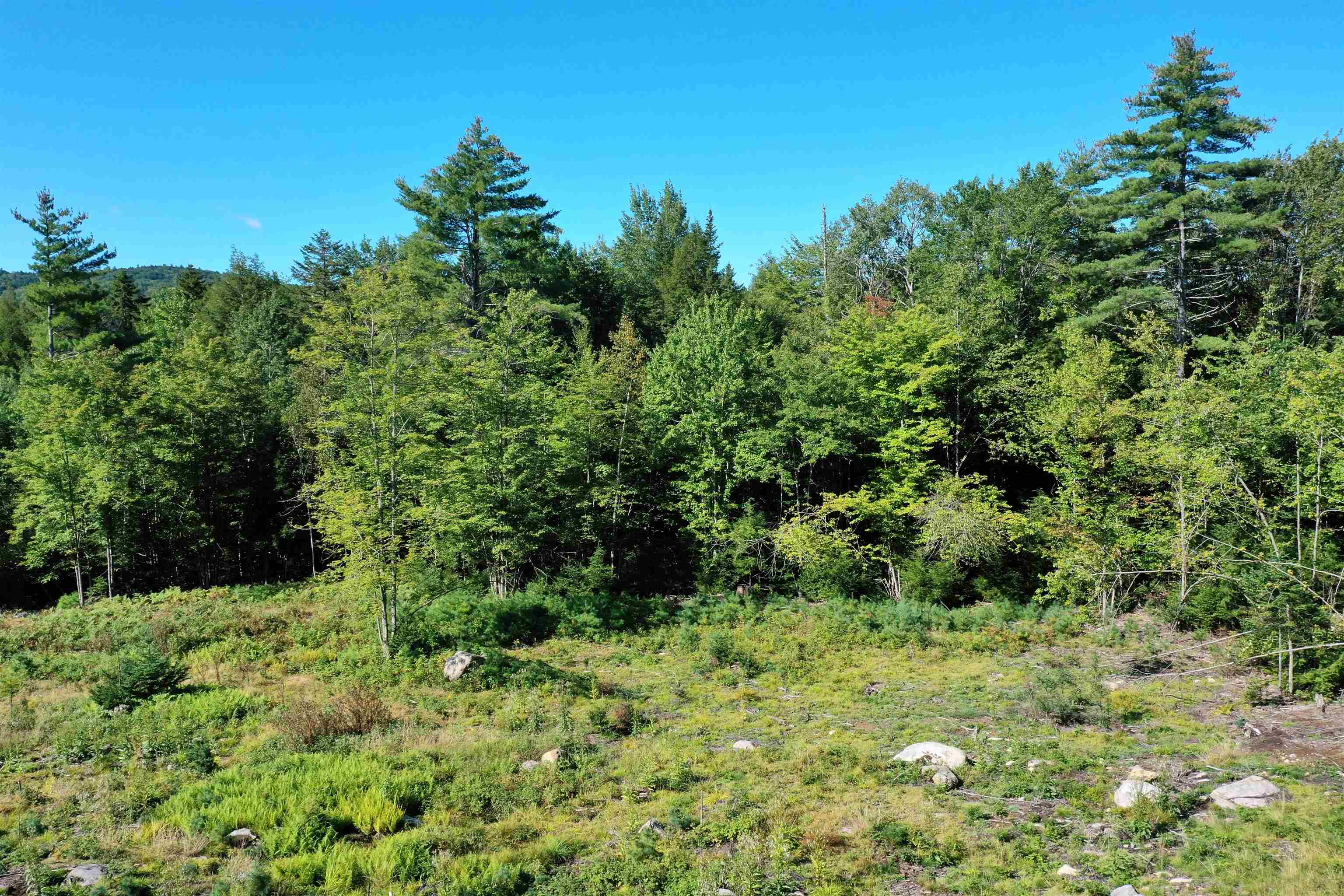 0 Nutting Road, Unit LOT 5 Sunapee, NH 03782 - Photo 3 of 8