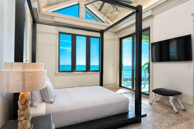 a view of a plant in a yard