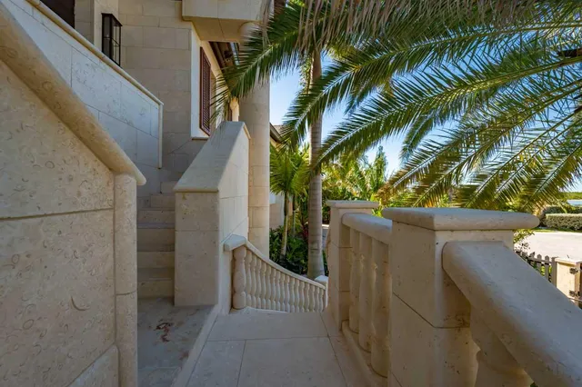 a view of a yard with plants