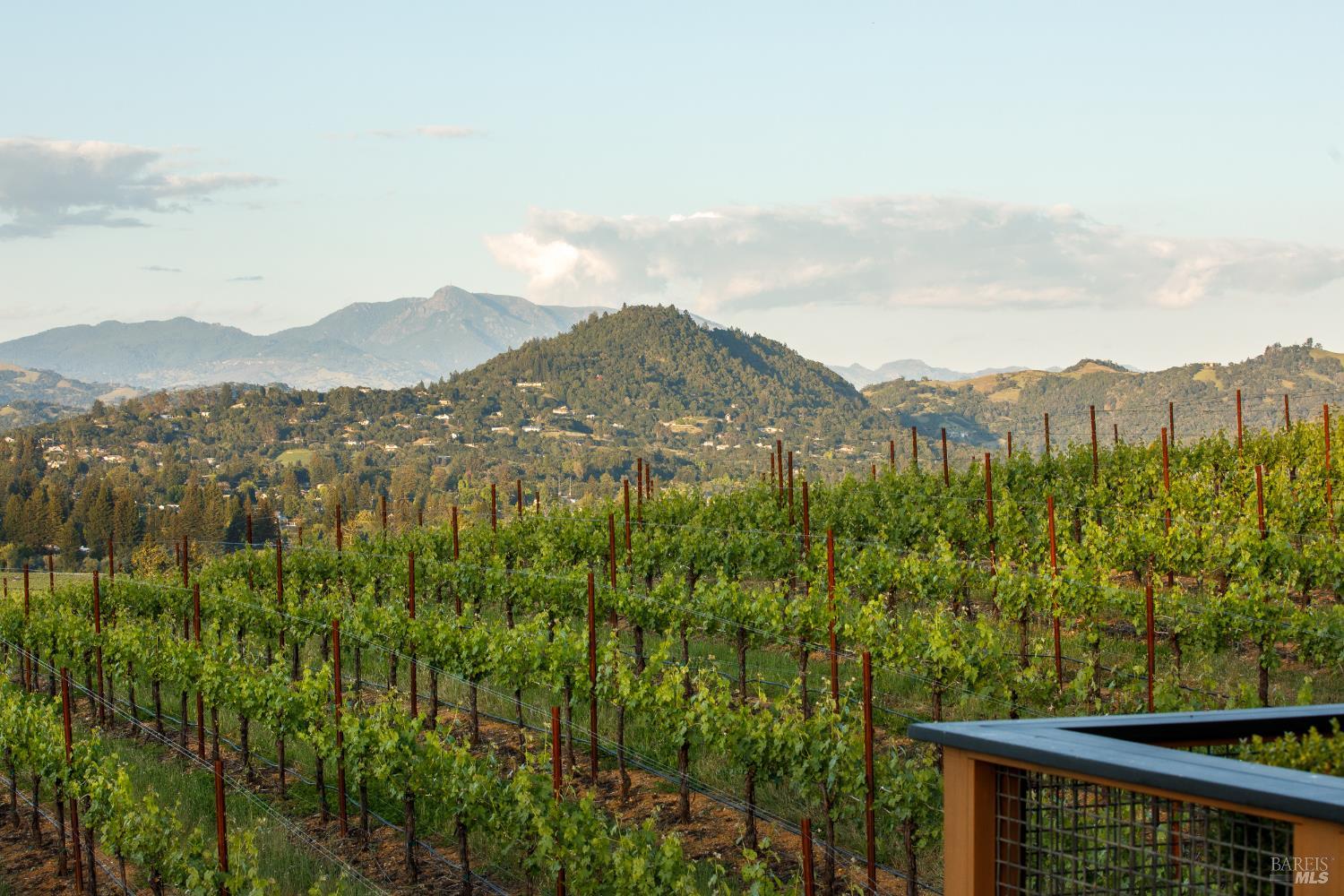 437 West Dry Creek Road Healdsburg, CA 95448 - Photo 4 of 74