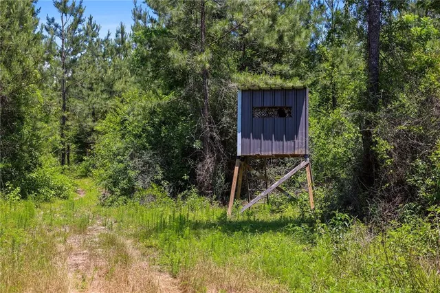 $625,000 | 66395 Highway 1058, Roseland, LA 70456