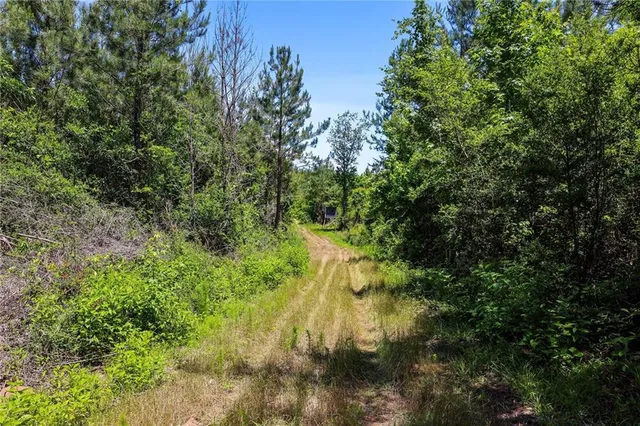 $625,000 | 66395 Highway 1058, Roseland, LA 70456