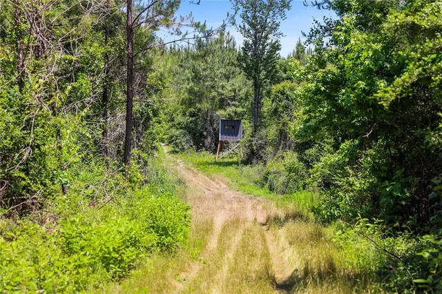 $625,000 | 66395 Highway 1058, Roseland, LA 70456