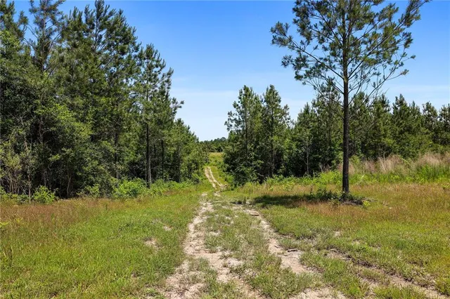 $625,000 | 66395 Highway 1058, Roseland, LA 70456