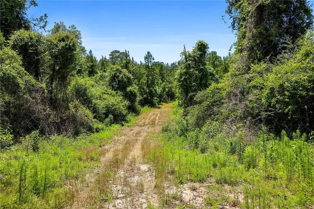 $625,000 | 66395 Highway 1058, Roseland, LA 70456