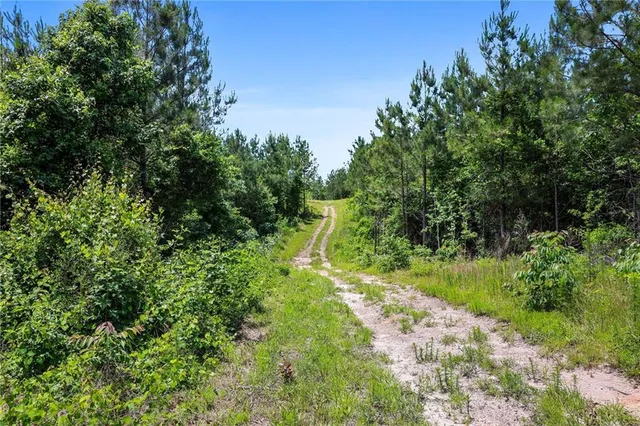 $625,000 | 66395 Highway 1058, Roseland, LA 70456