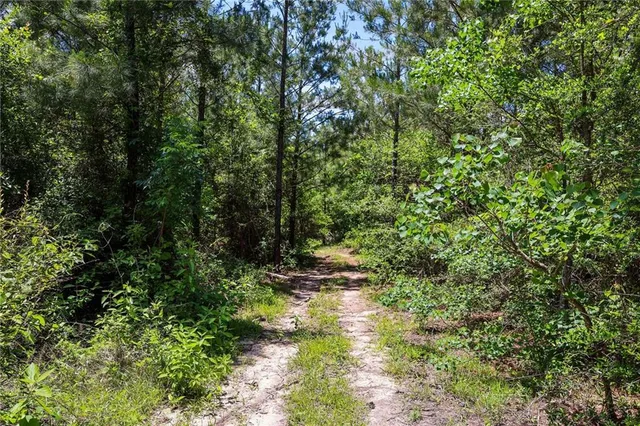 $625,000 | 66395 Highway 1058, Roseland, LA 70456