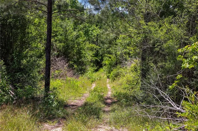 $625,000 | 66395 Highway 1058, Roseland, LA 70456