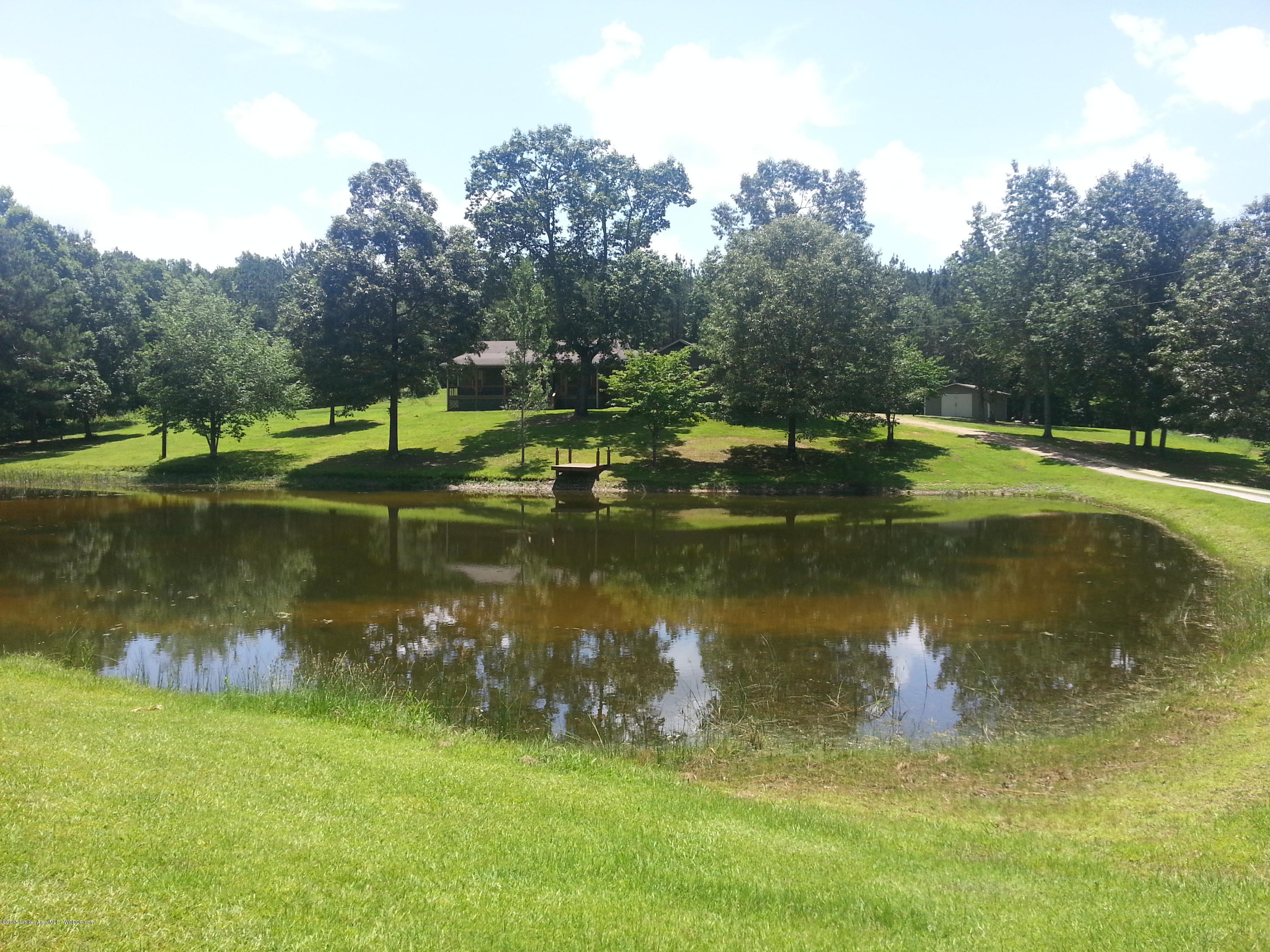 1206 Kendrick Road Eldridge, AL 35554 - Photo 7 of 24 Gallery Image 7