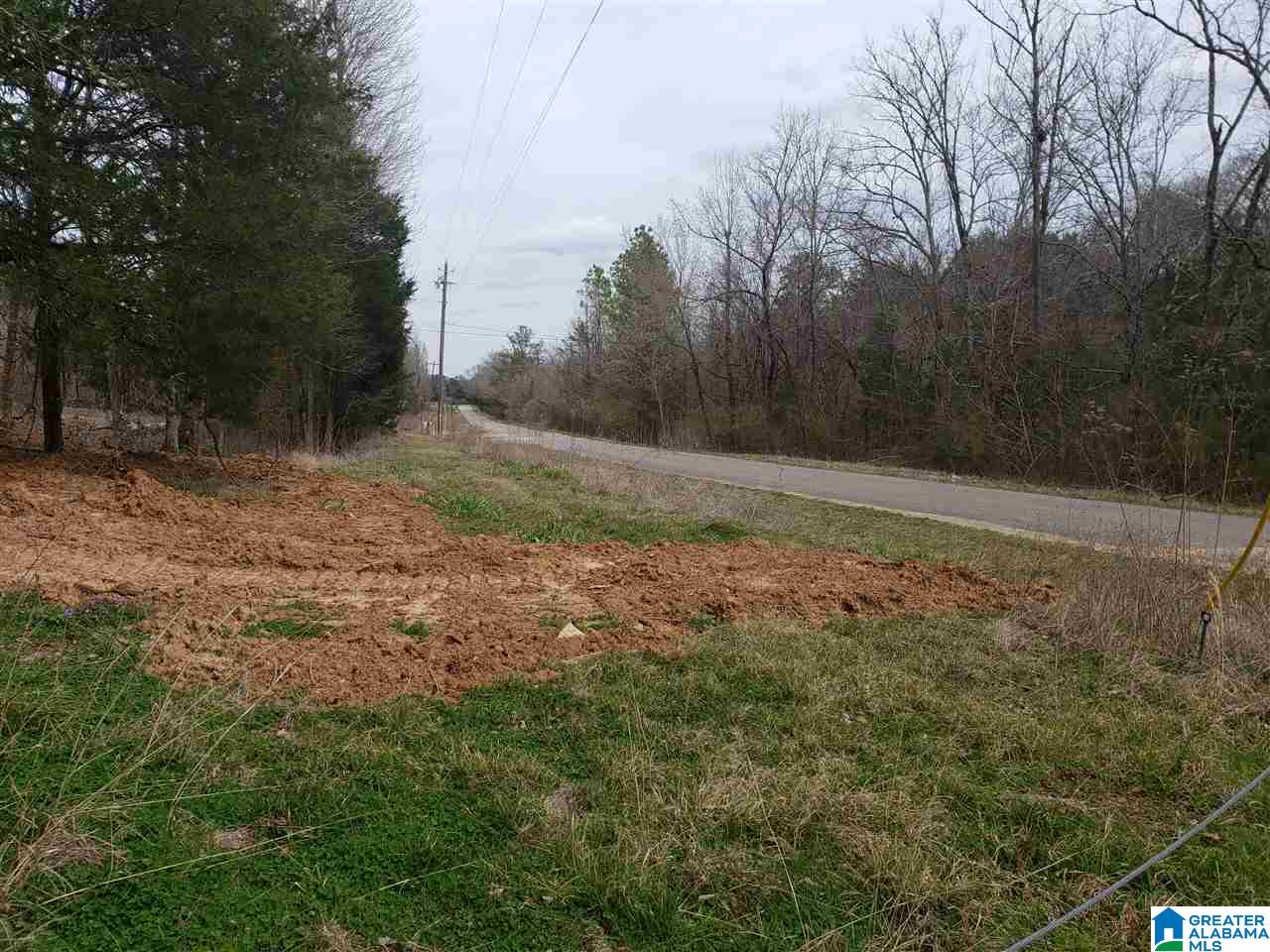 0 Remlap Drive, Unit 1 Remlap, AL 35133 - Photo 5 of 11