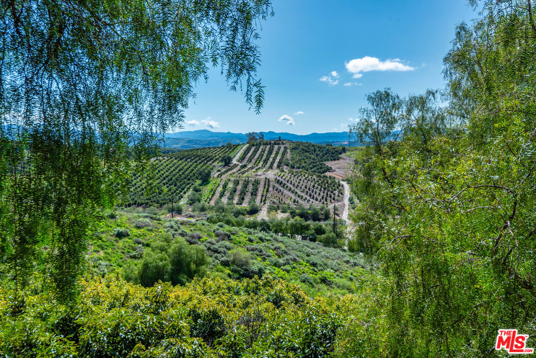 8018 Balcom Canyon Road Somis, CA 93066 - Photo 33 of 36 a view of a garden
