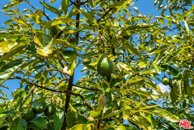 $7,600,000 | 8018 Balcom Canyon Road, Somis, CA 93066