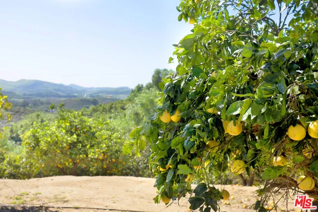 $7,600,000 | 8018 Balcom Canyon Road, Somis, CA 93066