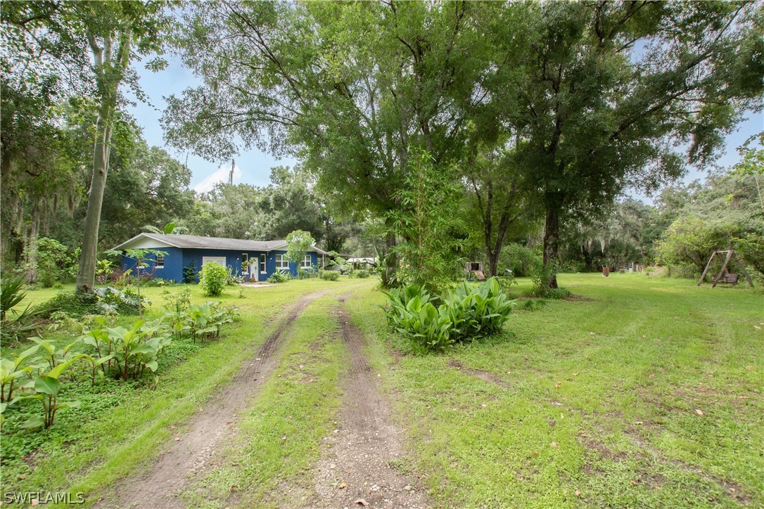 1745 County Road 731 Venus, FL 33960 - Photo 2 of 45 a view of a yard with plants and trees