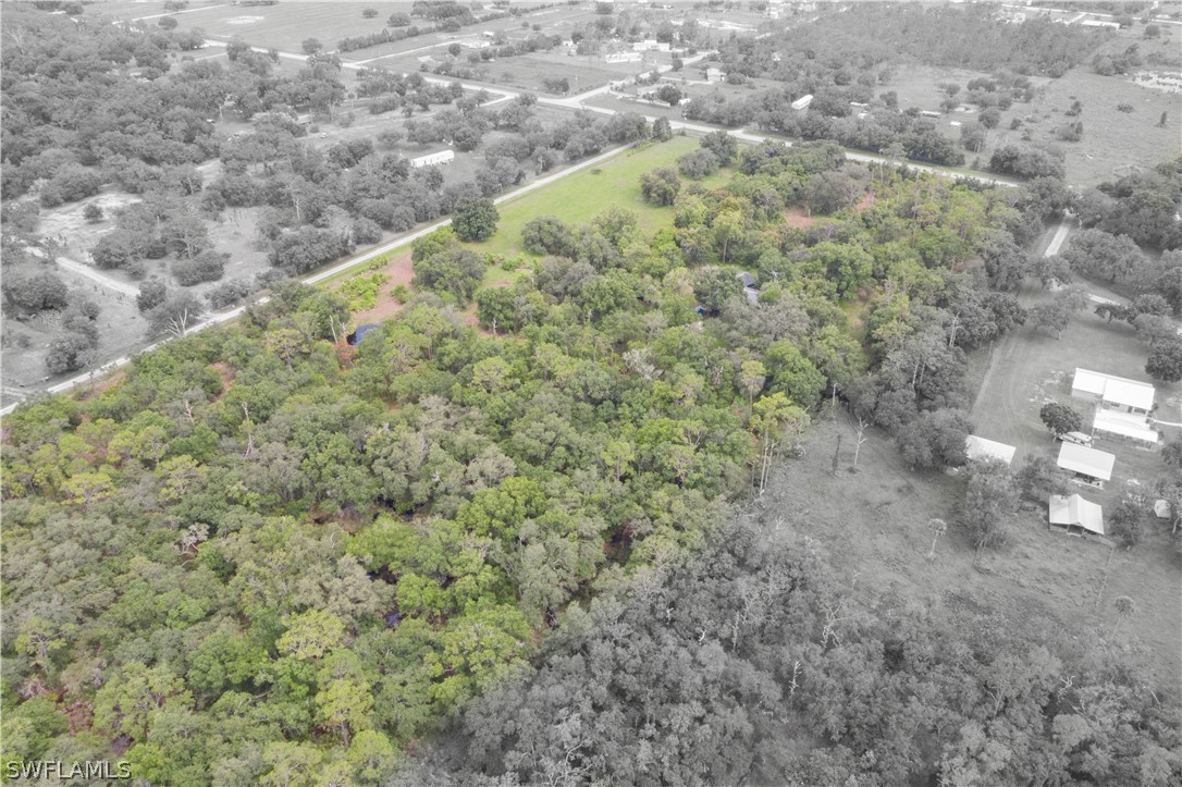 1745 County Road 731 Venus, FL 33960 - Photo 32 of 45 a view of a forest with a house