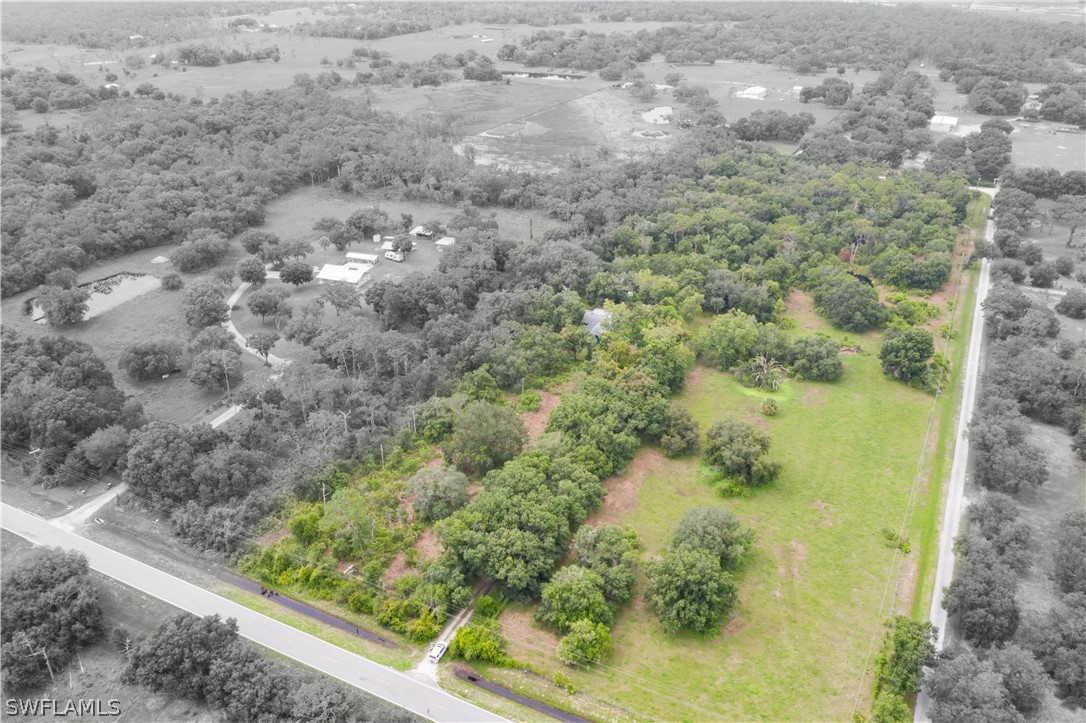 1745 County Road 731 Venus, FL 33960 - Photo 34 of 45 a view of a forest from a window
