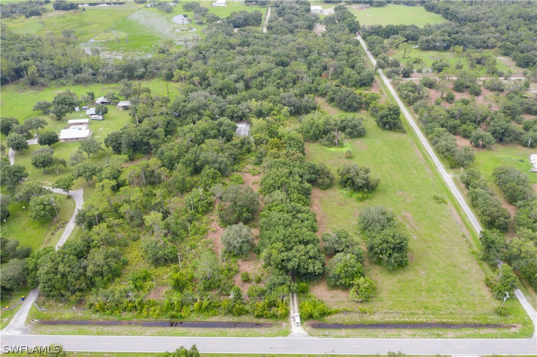 1745 County Road 731 Venus, FL 33960 - Photo 38 of 45 a view of a yard with plants