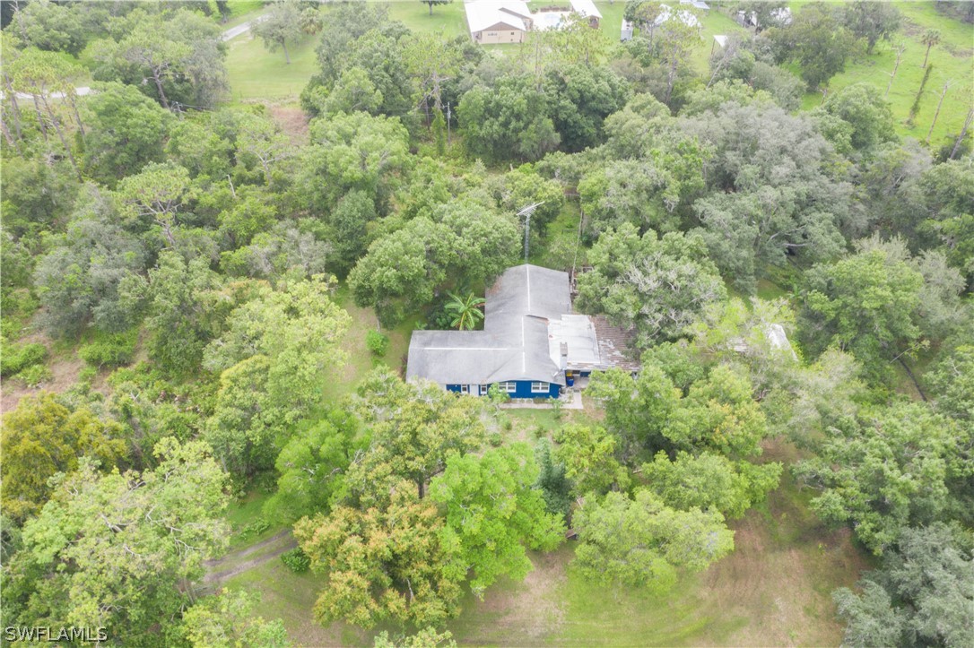 1745 County Road 731 Venus, FL 33960 - Photo 40 of 45 a picture of a tree with a yard