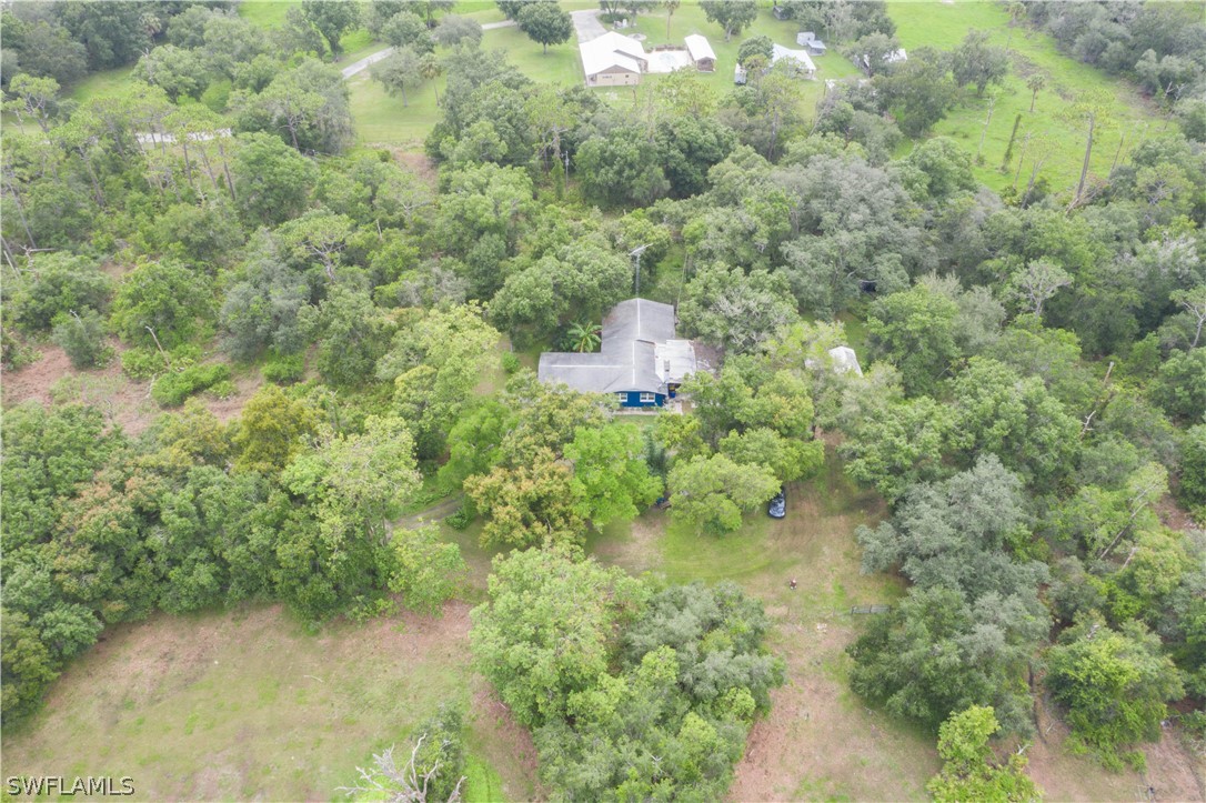 1745 County Road 731 Venus, FL 33960 - Photo 41 of 45 a view of a forest with a houses