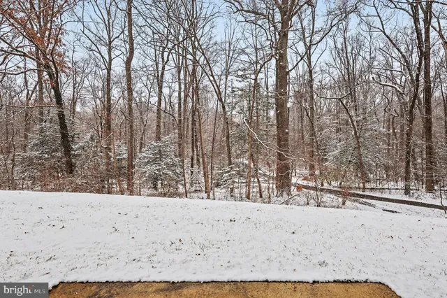 $1,994 | 11619 Stoneview Square, Unit 2B, Reston, VA 20191