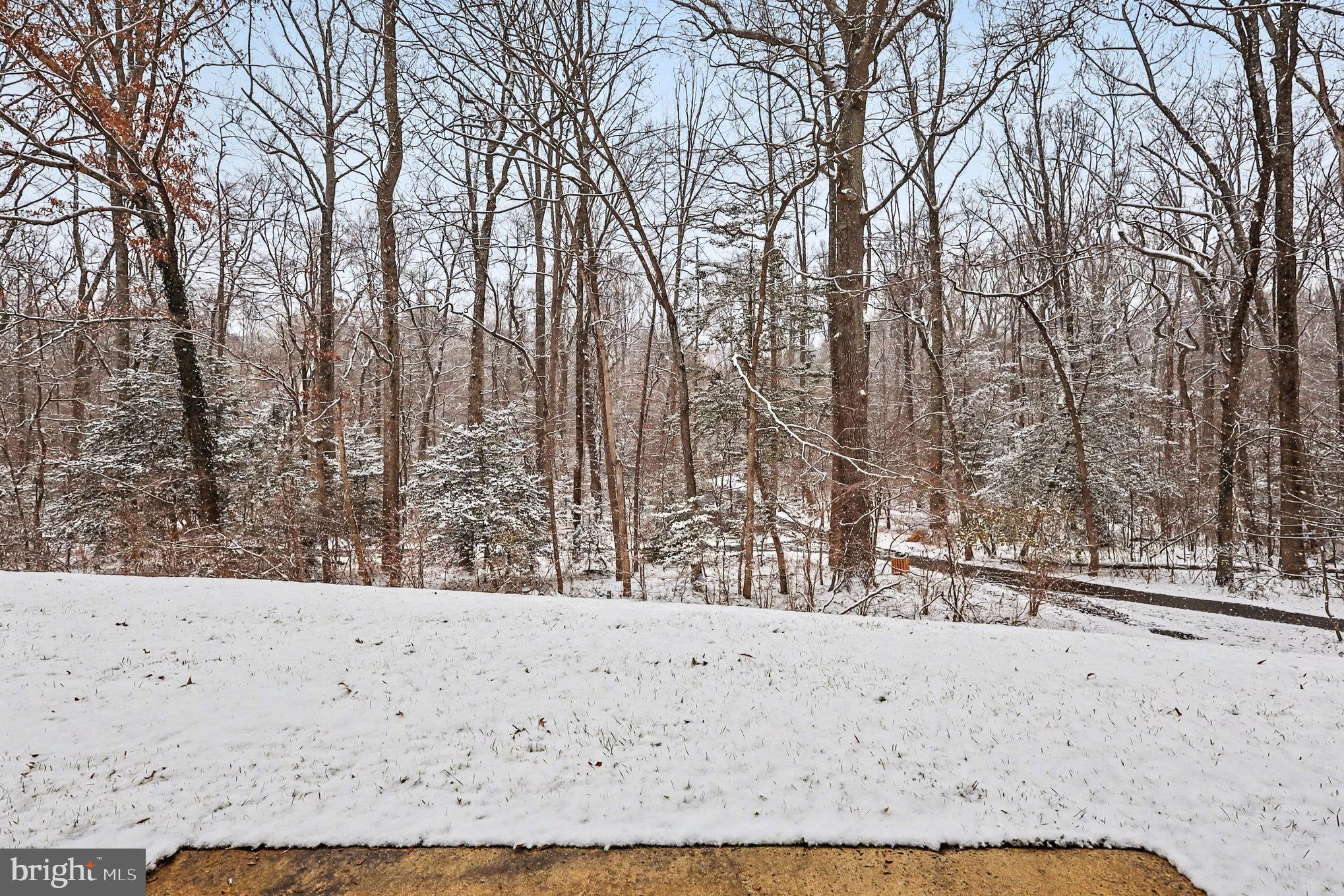 11619 Stoneview Square, Unit 2B Reston, VA 20191 - Photo 17 of 18