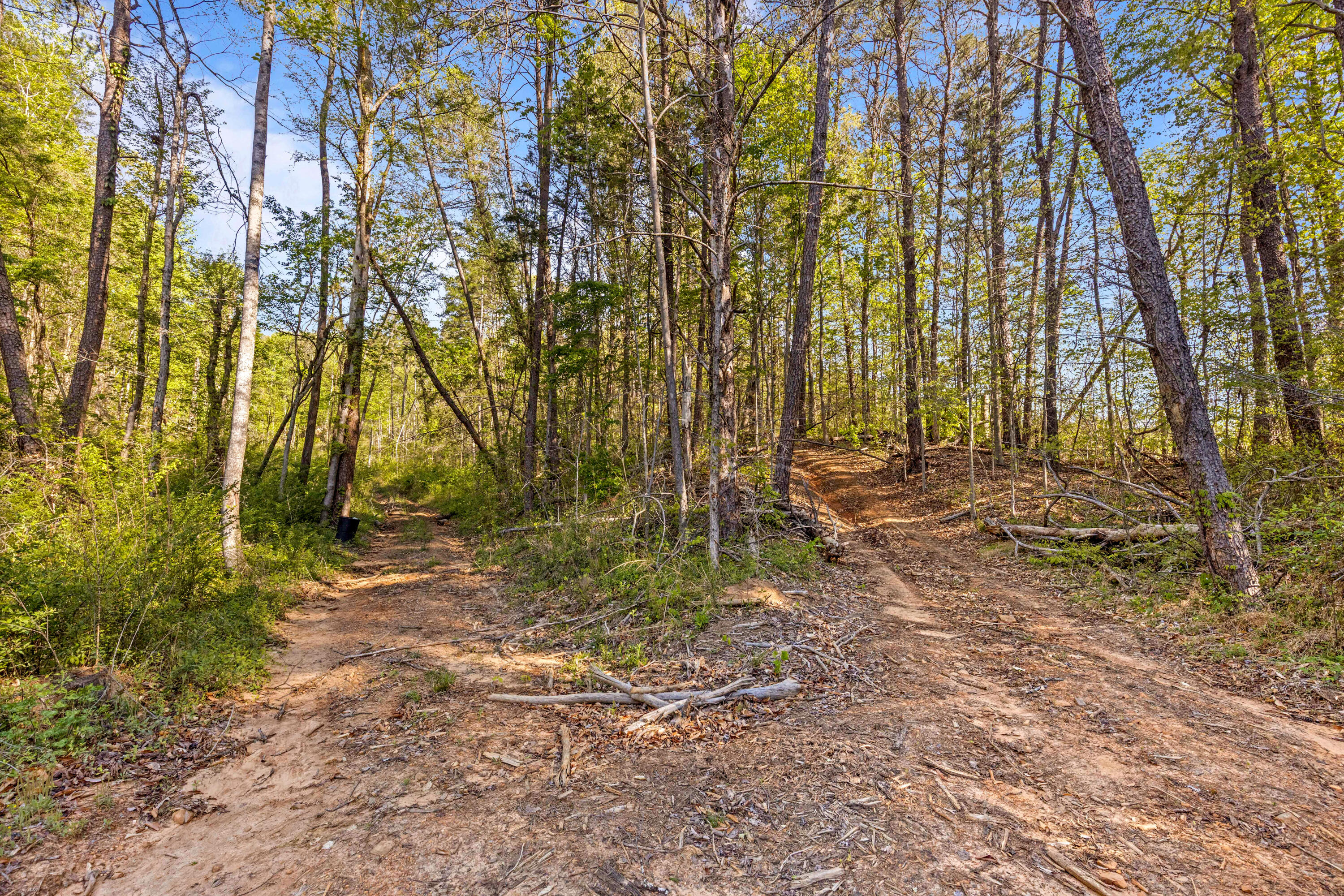 0 Valley View Highway Whitwell, TN 37397 - Photo 5 of 26 ValleyView-2