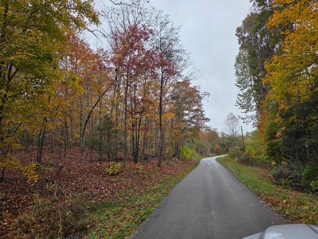 286 East Doe Creek Road Liberty, KY 42539 - Photo 58 of 62 8162367709455984949