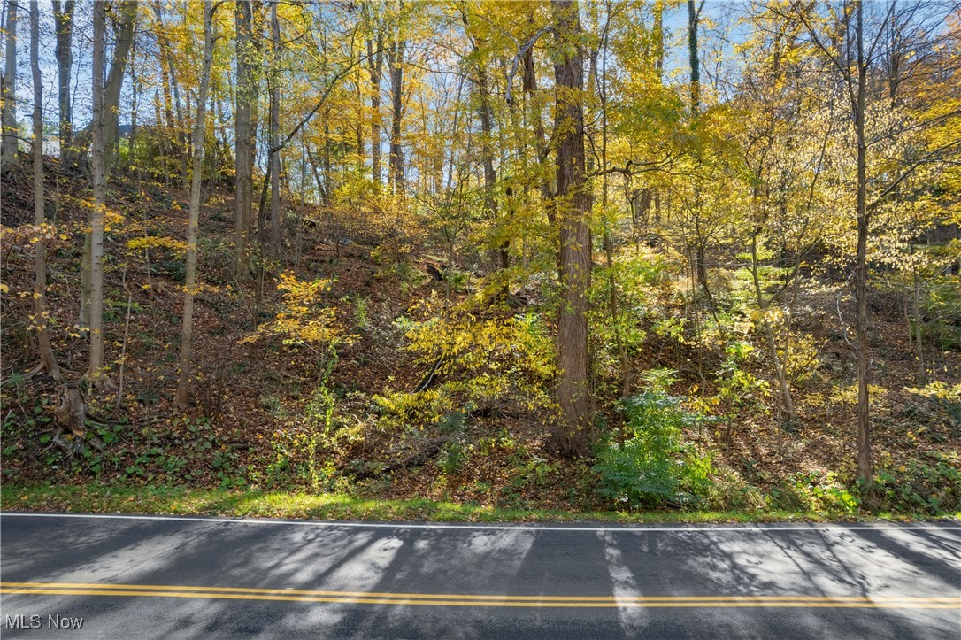 1500 North Revere Road Akron, OH 44333 - Photo 4 of 29