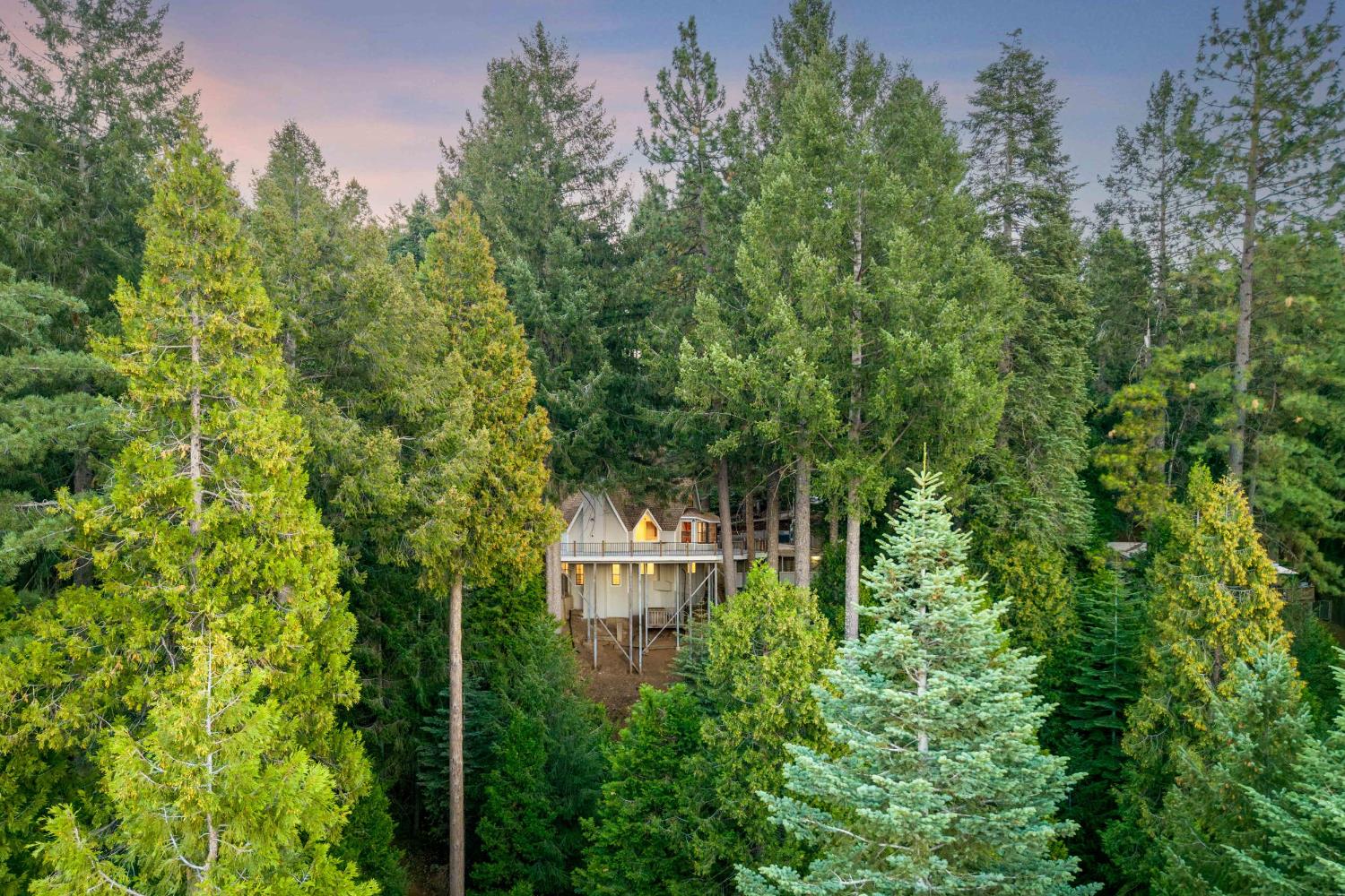 13008 Summit Ridge Drive Nevada City, CA 95959 - Photo 63 of 69