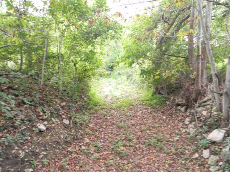 2051 Wrangling Run Road Foster, KY 41043 - Photo 7 of 8 Gallery Image 7