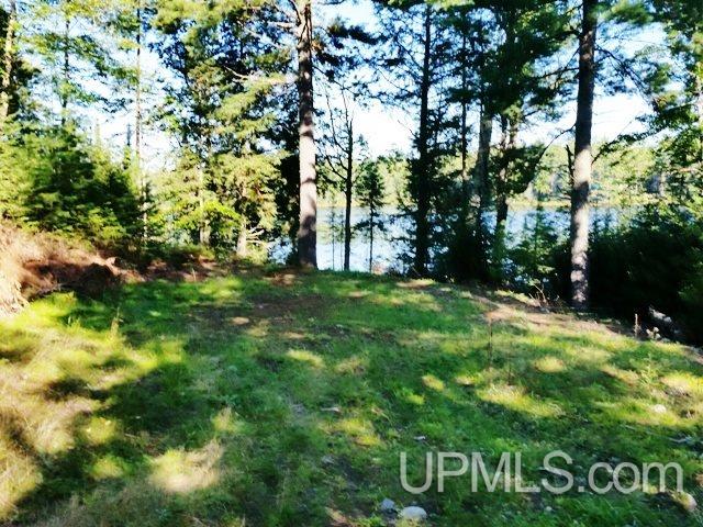 Tbd West Paint Lake Road, Unit J Iron River, MI 49935 - Photo 12 of 17