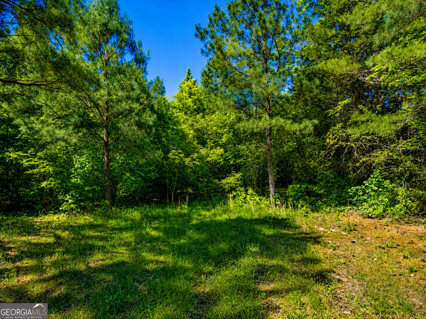 4.48-acres Bronco Road LaFayette, GA 30728 - Photo 7 of 13