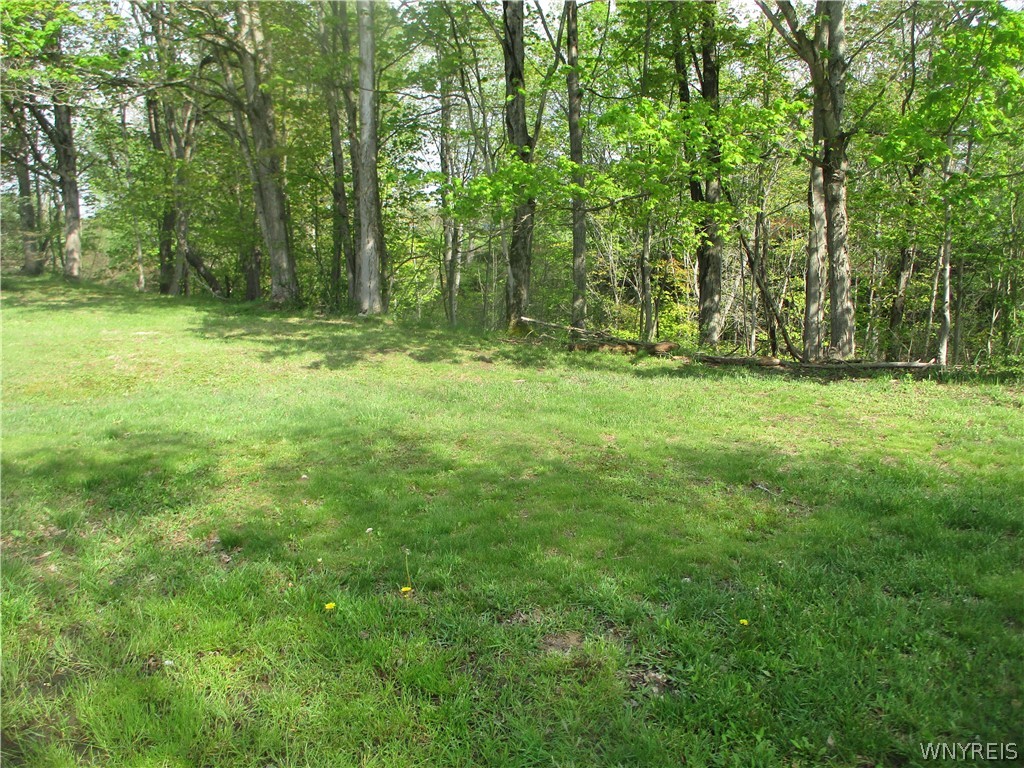 11540 Bolton Road Yorkshire, NY 14141 - Photo 9 of 16 behind building