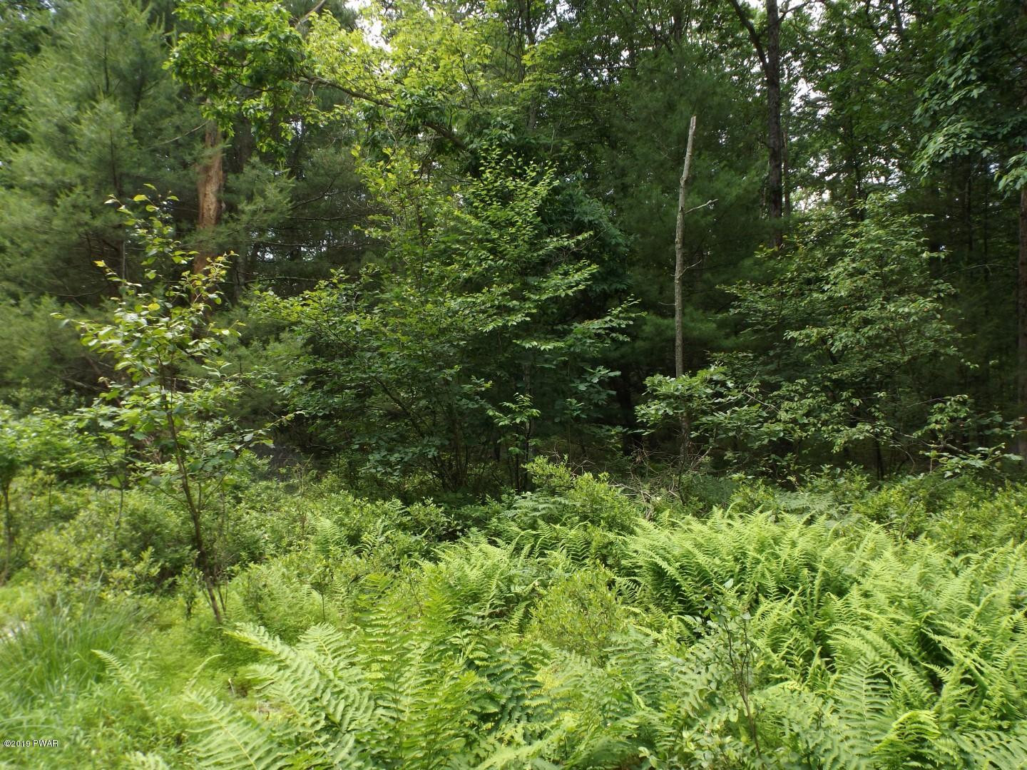 Lot 8 Engvaldsen Road Hawley, PA 18428 - Photo 4 of 8