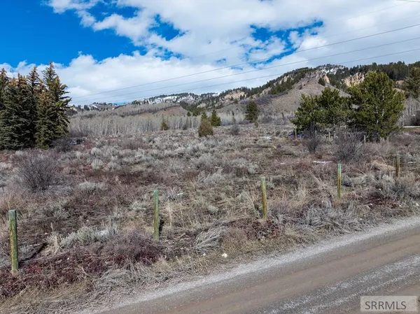 $249,900 | Lot 2 Choke Cherry Lane, Irwin, ID 83428